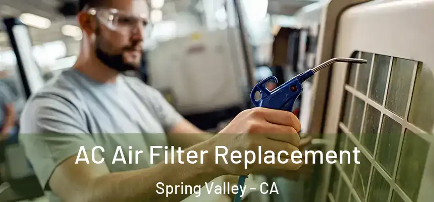  AC Air Filter Replacement Spring Valley - CA