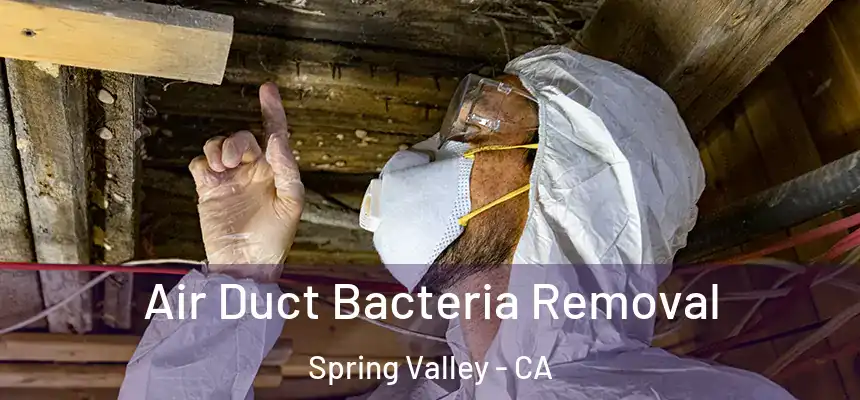  Air Duct Bacteria Removal Spring Valley - CA