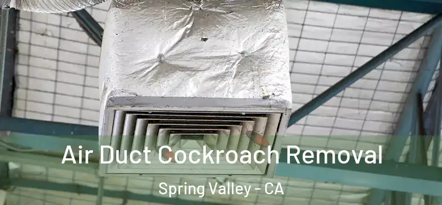  Air Duct Cockroach Removal Spring Valley - CA