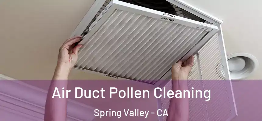  Air Duct Pollen Cleaning Spring Valley - CA
