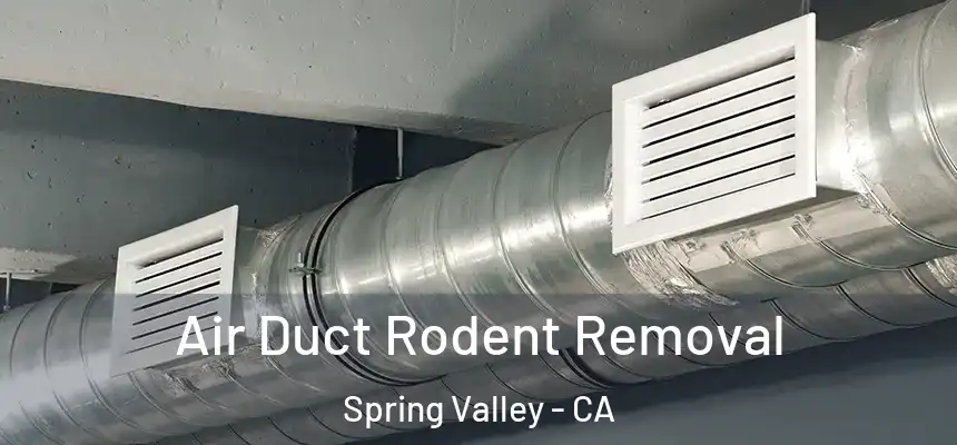 Air Duct Rodent Removal Spring Valley - CA