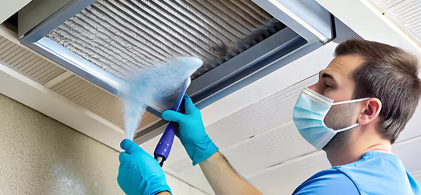 Proactive Dryer Vent & Auxiliary Duct Pollen Cleanup in Spring Valley, CA