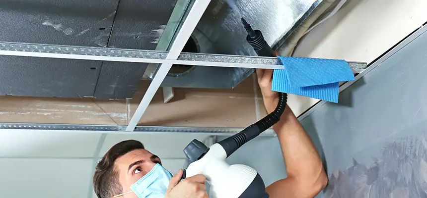 Our Air Duct Rodent Removal Services in Spring Valley, CA