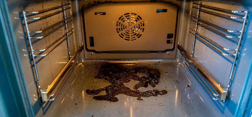 Our Dryer Vent Mold Cleaning Services in Spring Valley, CA