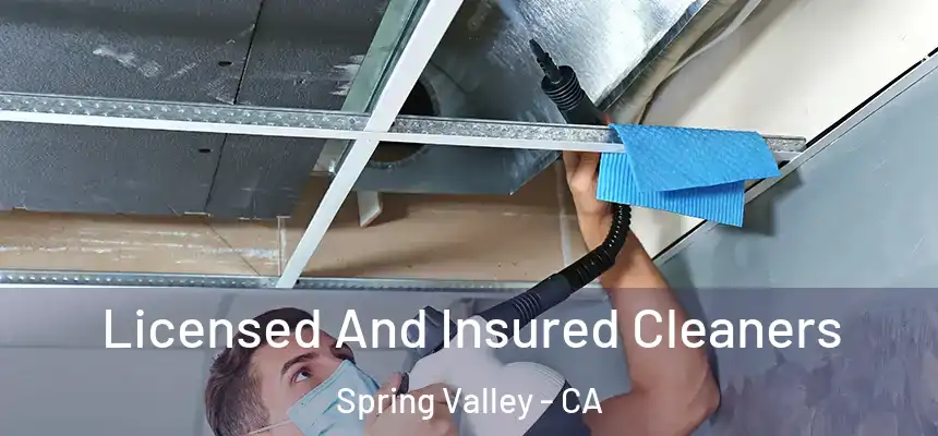  Licensed And Insured Cleaners Spring Valley - CA