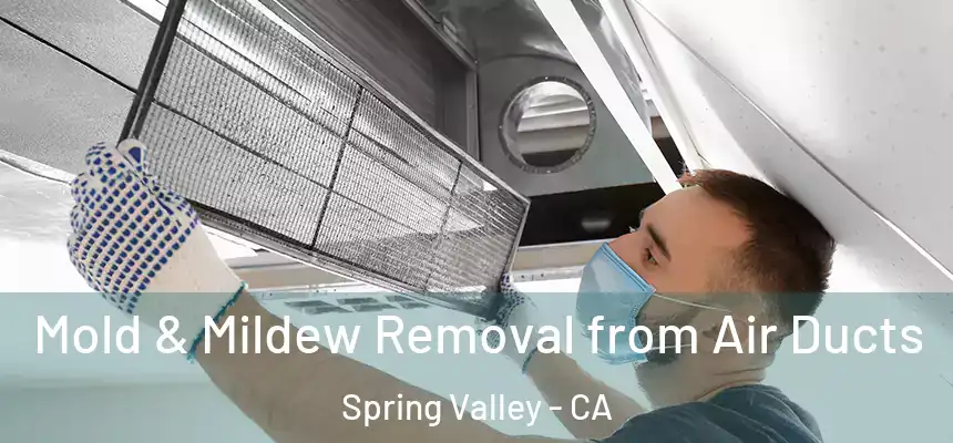  Mold & Mildew Removal from Air Ducts Spring Valley - CA