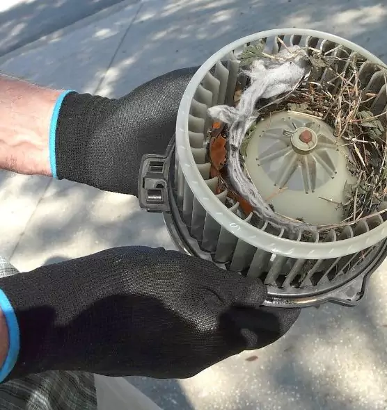 About Air Duct Mice Removal in Spring Valley, CA