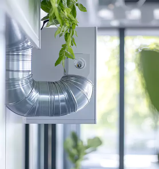 Professional Eco-Safe Dryer Vent Cleaning in Spring Valley, CA