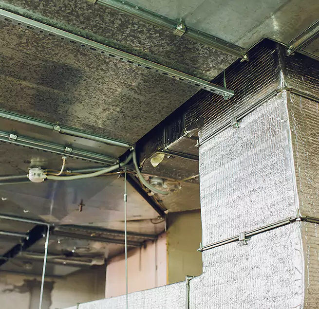 Why Homeowners & Businesses Trust Us in Spring Valley, CA?